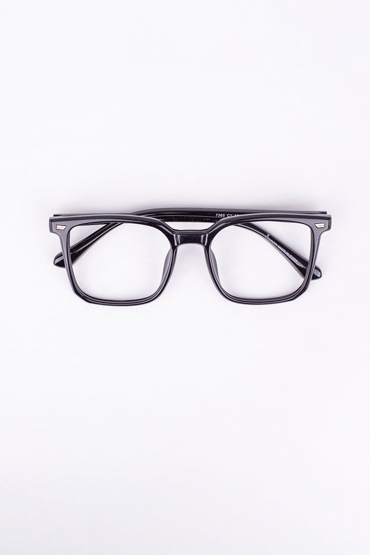 Acetate & Metal Frame Glasses_308