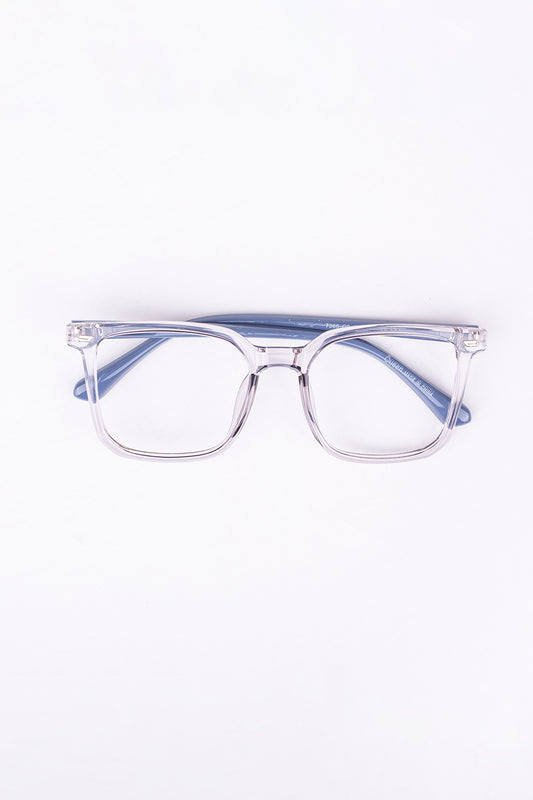 Acetate & Metal Frame Glasses_308