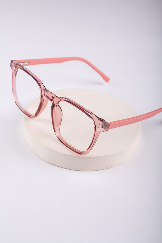 Acetate & Metal Frame Glasses_304
