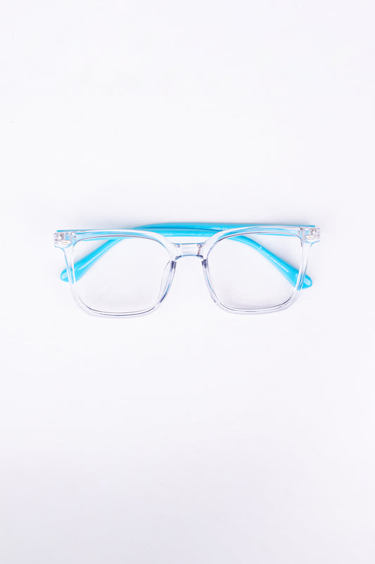 Acetate & Metal Frame Glasses_306