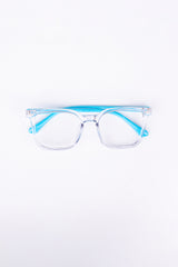 Acetate & Metal Frame Glasses_306