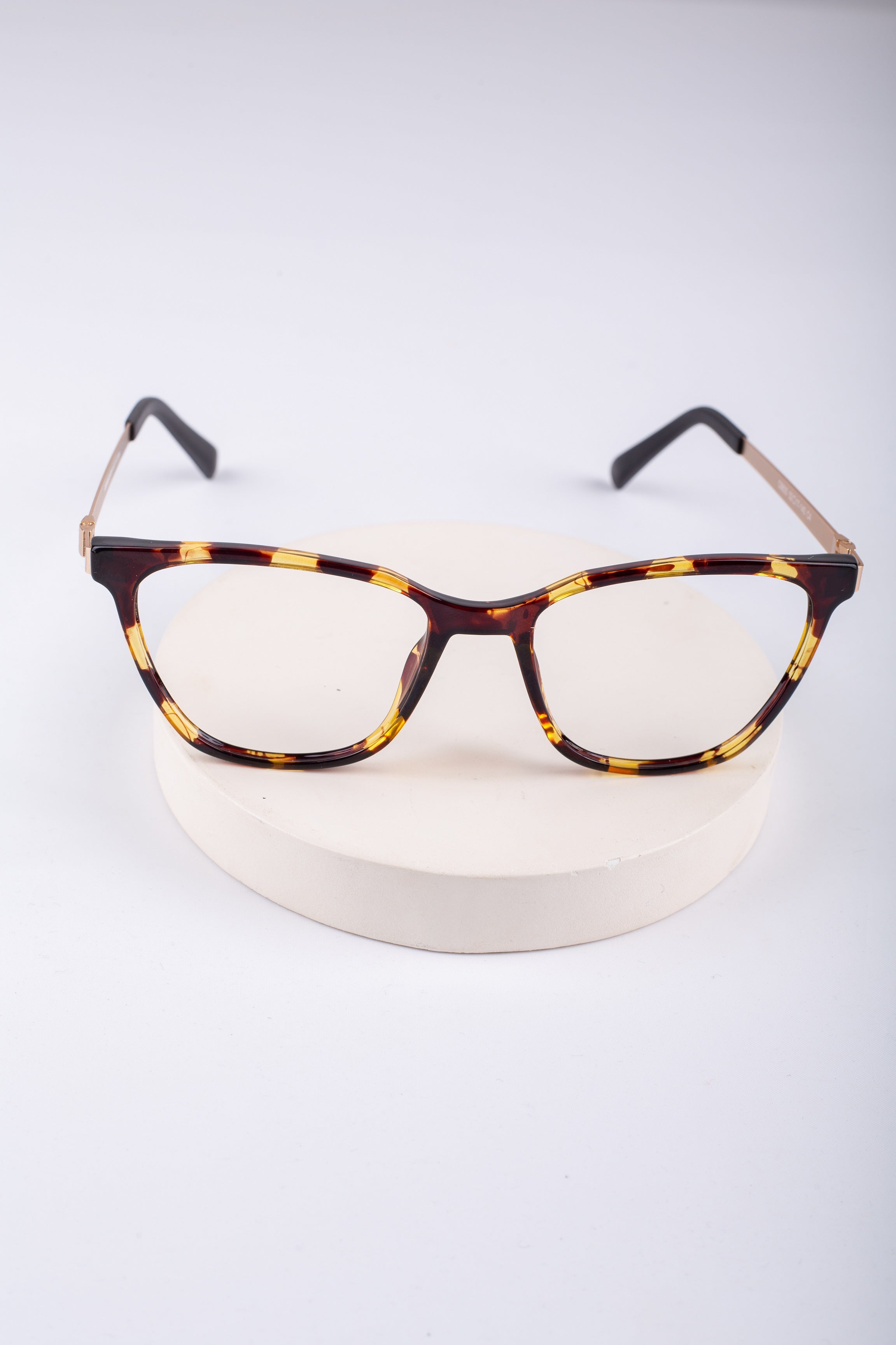 Magnetic Glasses_303