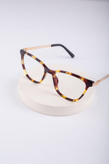Magnetic Glasses_303