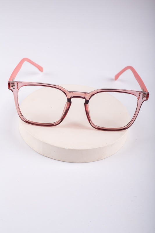 Acetate & Metal Frame Glasses_304